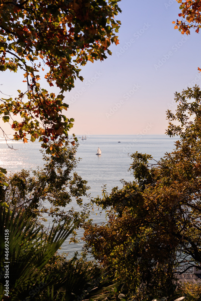 Boats in the sea with a beautiful sunset on the background and colourful trees and leaves around. Boats in the sea with a beautiful sunset on the background and colourful trees and leaves around.