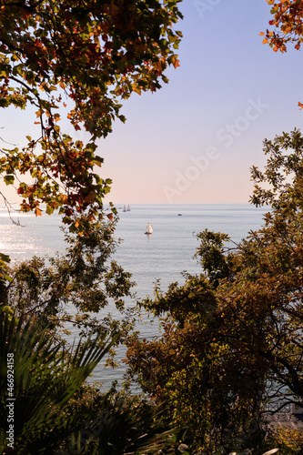 Boats in the sea with a beautiful sunset on the background and colourful trees and leaves around.