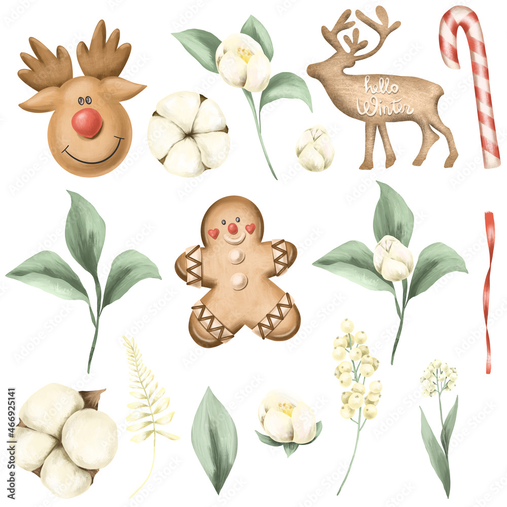 Set of hand drawn winter pastel plants, cotton flowers and decorations, isolated illustration on white background