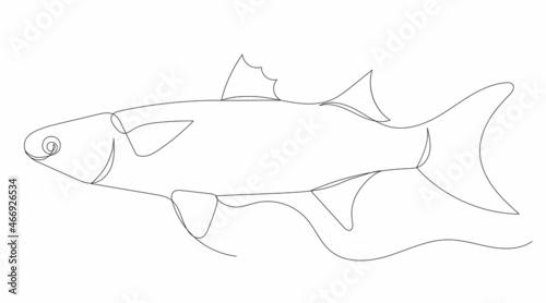 fish drawing by continuous line isolated, vector
