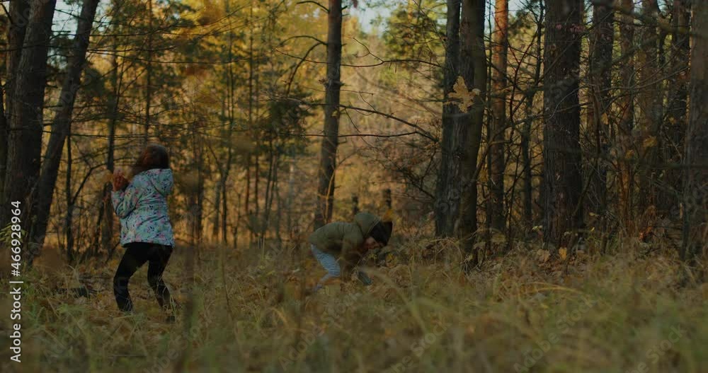 Brother and sister in the autumn forest, throwing leaves at each other, indulge.
