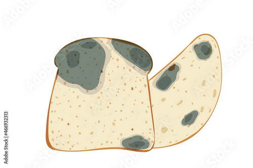 The mold on the loaf and toast bread, set isolated on white background