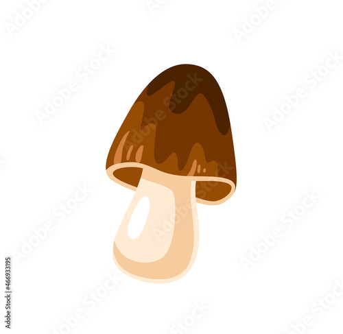 Paddy Straw Mushrooms. Volvariella volvacea. Asian cuisine ingredient, tropical edible fungus. Healthy vegetarian food. Flat hand drawn vector illustration.