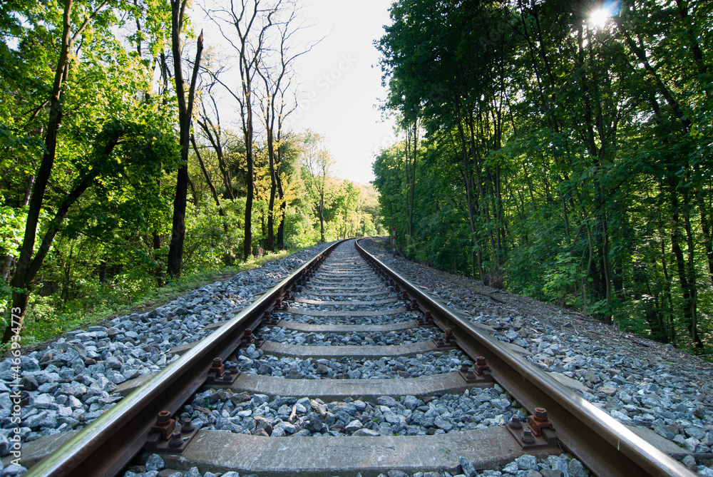 Fototapeta premium old railroad in green forest