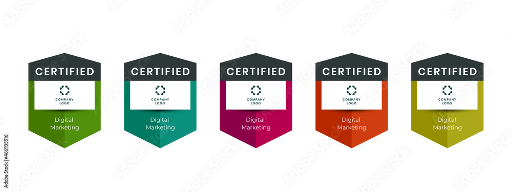 Professional certificates awarded logo badge vector. Digital ...