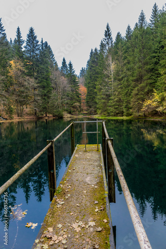 Autumn walk on the heights of the Thuringian Forest at Sch  tzenbergmoor near Oberhof - Thuringia