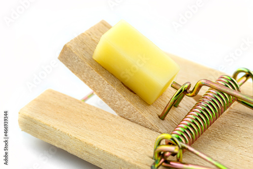 Konstfotografi A macro photo of a cheese cube lying on a pawl in a mousetrap, isolated on a white background