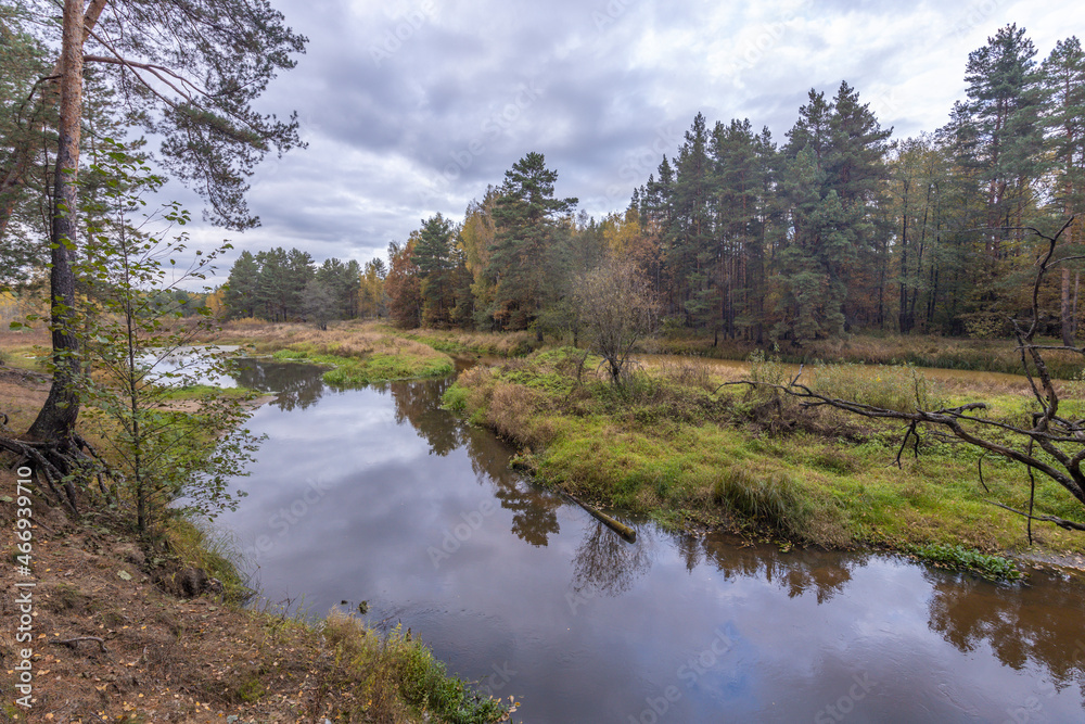 Bright autumn foliage on trees in yellow, red, orange and green colors. Cloudy weather in the forest Idyllic autumn landscape. Clean nature, ecology, seasons, environmental protection. Bright autumn foliage on trees in yellow, red, orange and green colors. Cloudy weather in the forest Idyllic autumn landscape. Clean nature, ecology, seasons, environmental protection.
