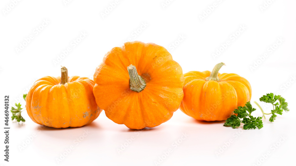 Obraz premium pumpkin isolated on white background