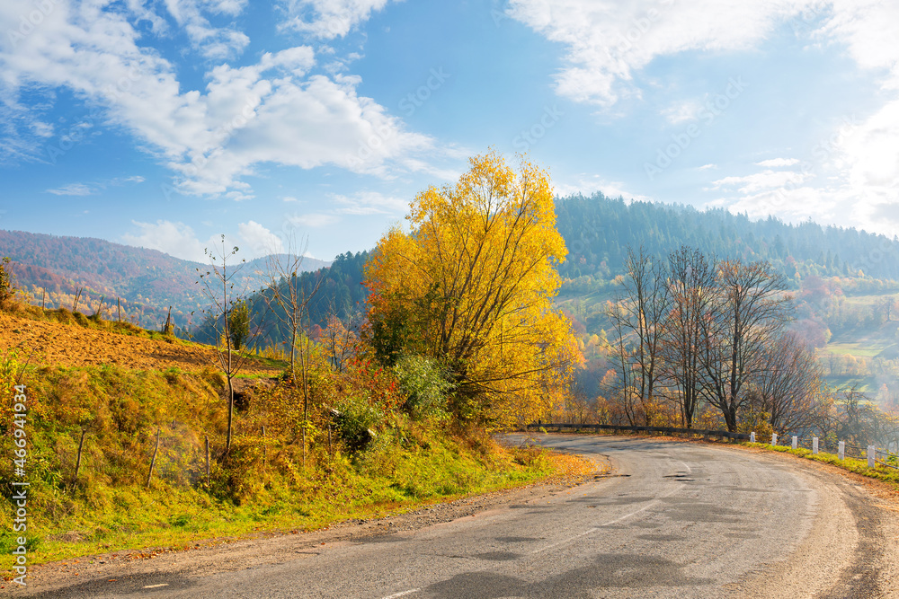 old mountain road in morning light. trees in colorful foliage along the serpentine. explore countryside concept