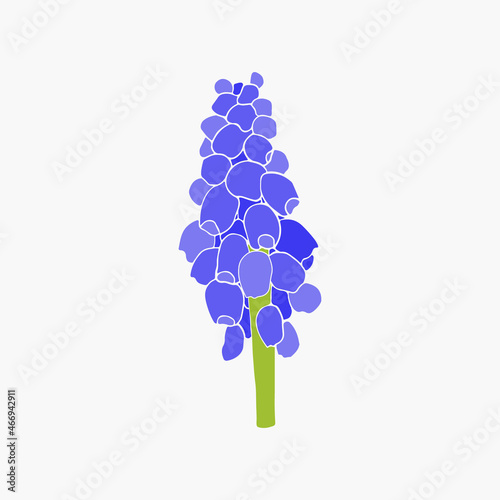 Flat hand drawn flower design. Cute spring muscari flower. Abstract modern trendy vector illustration. Perfect for posters, social network posts, stickers and card photo