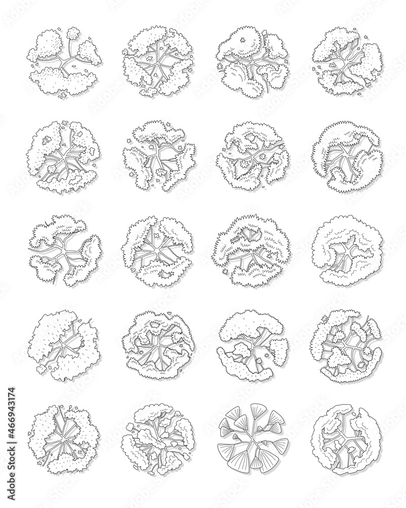 hand drawn vector set of top view tree.
