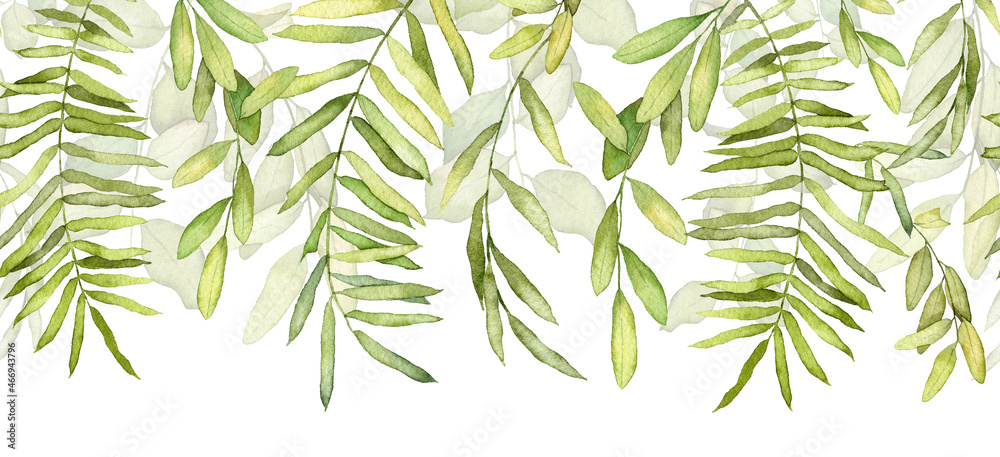 Naklejka premium Long seamless pattern with hanging plant stem isolated on white background. Watercolor detailed realistic green leaves