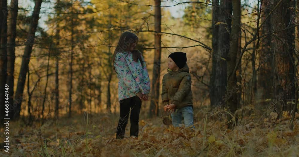 Children look shyly at each other and begin tossing leaves in the air. Children look shyly at each other and begin tossing leaves in the air.