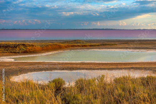 Sasyk Sivash  salt lake with pink water.