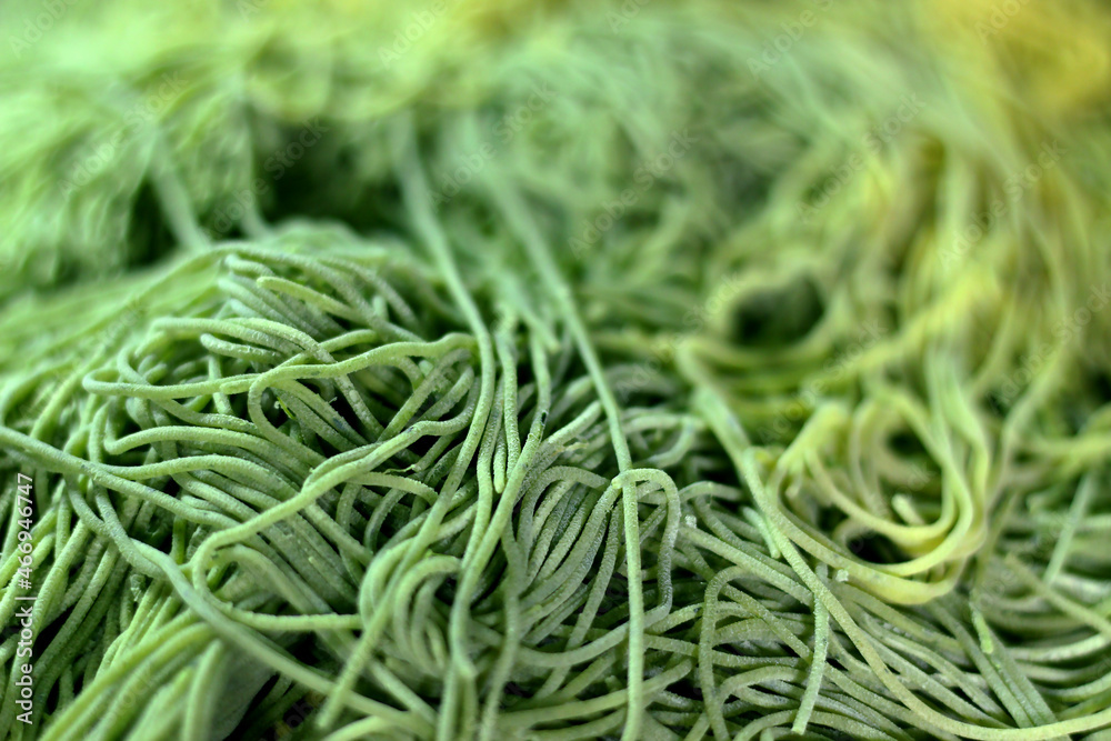 Raw green spaghetti noodles. The spaghetti is ready to cook. Top view. Raw green spaghetti noodles. The spaghetti is ready to cook. Top view.