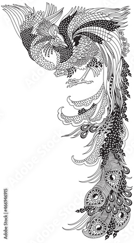 Chinese phoenix or Feng Huang Fenghuang mythological bird. One of celestial feng shui animals. Graphic style vector illustration. Black and white