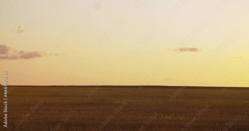 Combine working the field in sunset