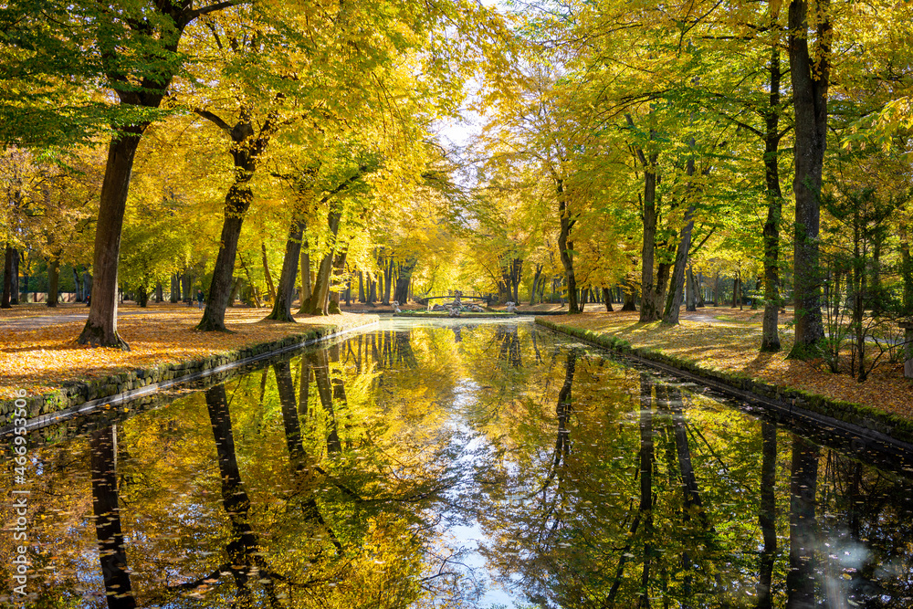 Wasser-Alle mit intensiver gold-gelber Herbstfärbung und Spiegelung