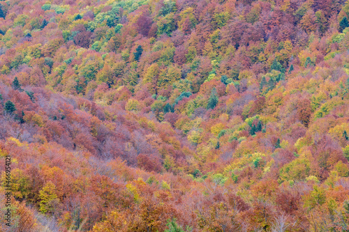 Autumn in the Bieszczady Mountains. © Jacek Jacobi