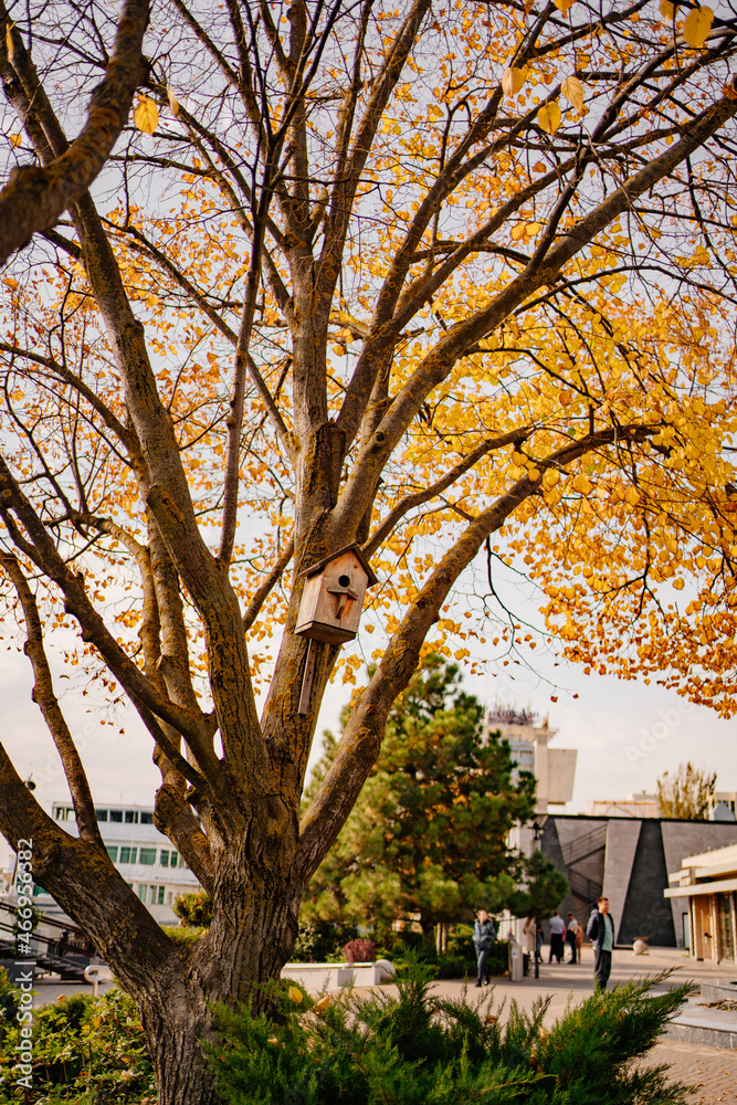 birdhouse on an autumn tree. the beauty of nature and the care of birds. birdhouse on an autumn tree. the beauty of nature and the care of birds.