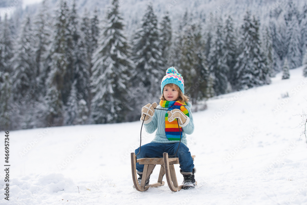 Boy sledding, enjoying sleigh ride. Child sitting on the sleigh. Children play with snow. Winter vacation concept. Wonderful Christmas scene.
