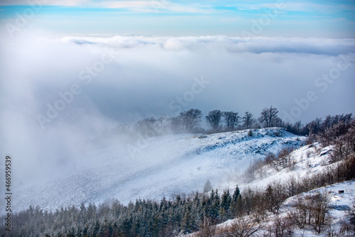 Winter nature for design. Snow covered trees in the mountains on winter landscape. Winter forest background. © Volodymyr