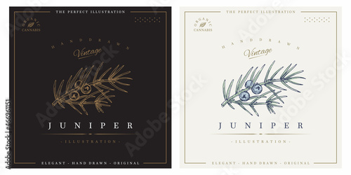 Juniper vintage logo template illustration