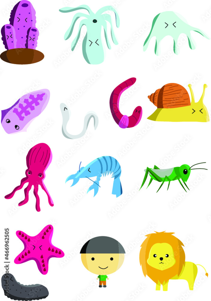animals in animalia kingdom cartoon