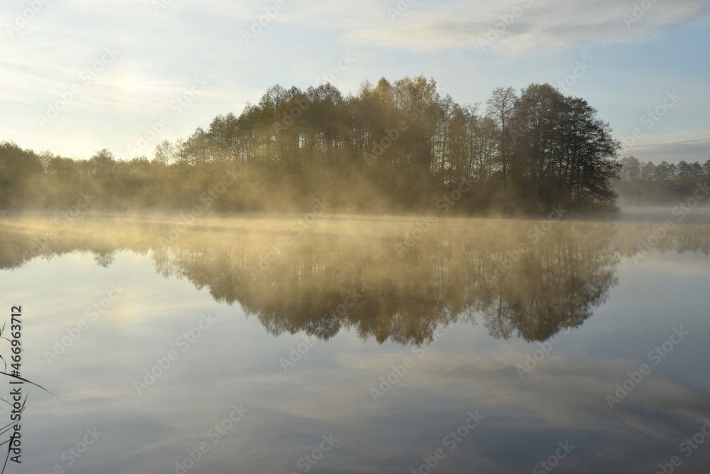 autumn fog 