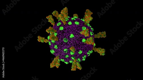 Loopable with Alpha Matte: Single rotating coronavirus virion particle isolated on black background. Stylyzed SARS-CoV-2 (COVID-19) coronavirus 3D animation. photo