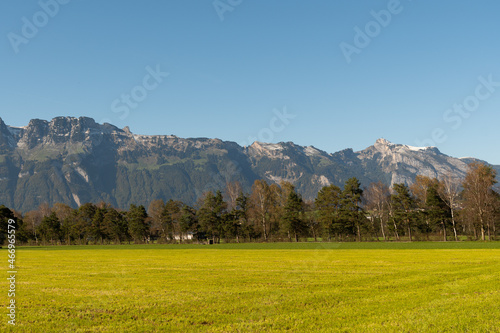 Schaan, Liechtenstein, October 14, 2021 Vegetation on a green field in an alpine scenery