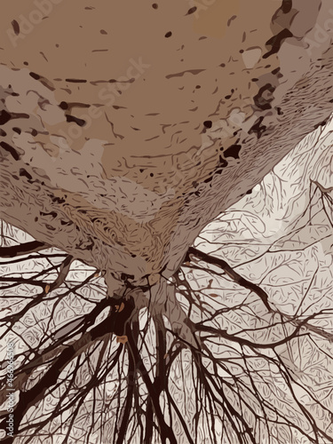 Baum Perspektivenwechsel Grafik 