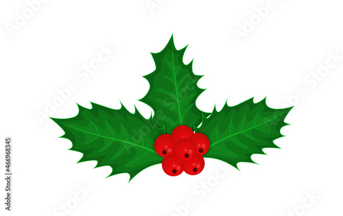 Holly berries and leaves. Bright vector illustration isolated on white background.