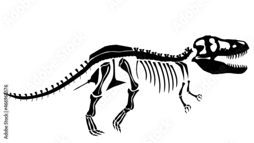 Tyrannosaurus Anatomical Complete T-Rex Skeleton HD Vector Art Transparent Background © anmonaitophoto