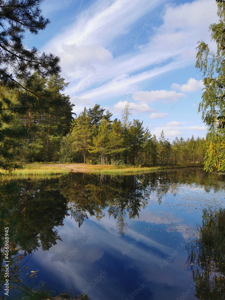 Fototapeta premium The mirror surface of a forest lake, in which trees and the sky with beautiful clouds are reflected.