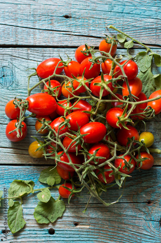 Vesuvius red Piennolo or simply Vesuvian Tomato, on blue wooden background. Piennolo is a cluster tomato grown in Naples, Italy. photo
