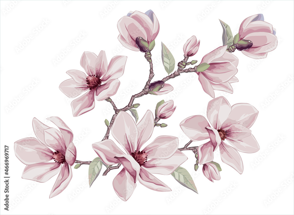 
Vector vintage floral for gift wrap, fabric, cover and interior design with flowers.  Magnolia flowers and leaves. 
