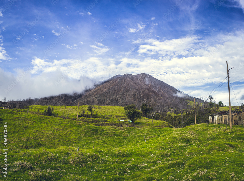Fototapeta premium landscape with sky