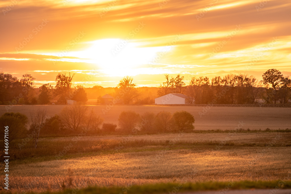 Bales In field Bales In field