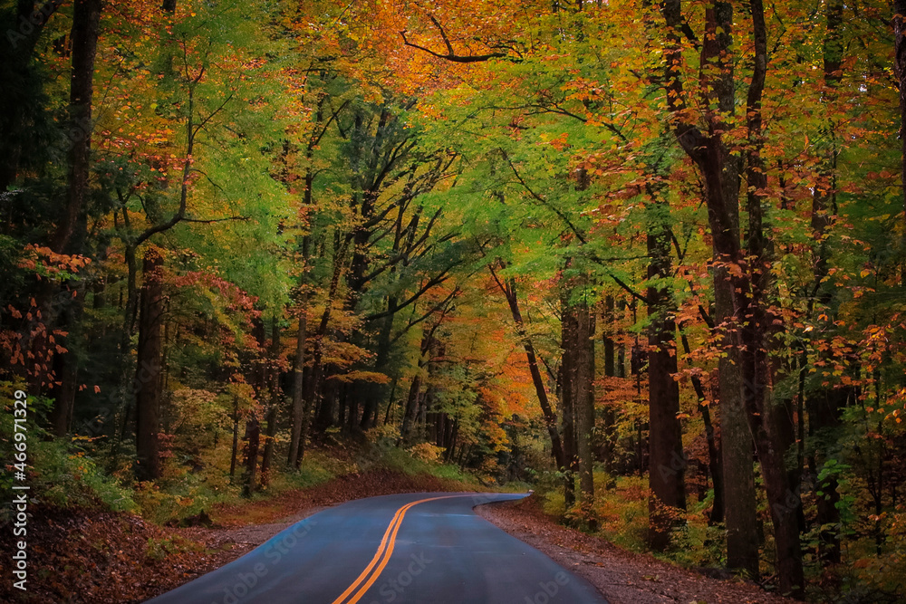 road in autumn