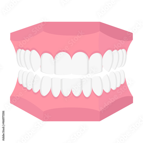 Obraz na płótnie Vector cartoon dental model of human jaw. w salonie
