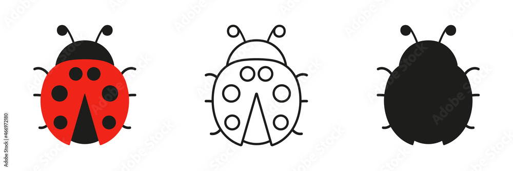 Obraz premium Ladybugs cute characters set. Ladybirds in three different view. Vector illustration for drawing 