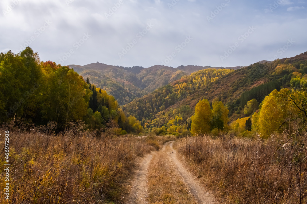 Mountain road in autumn with colorful forest on background.