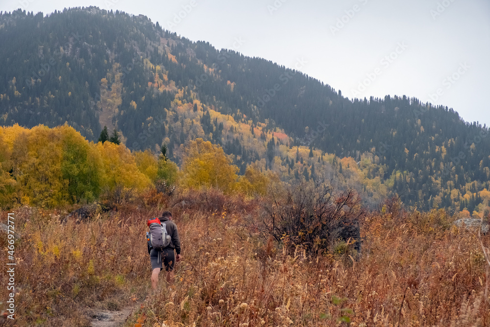 Tourist with backpack is walking on mountain trail among beautiful colorful trees in autumn time.
