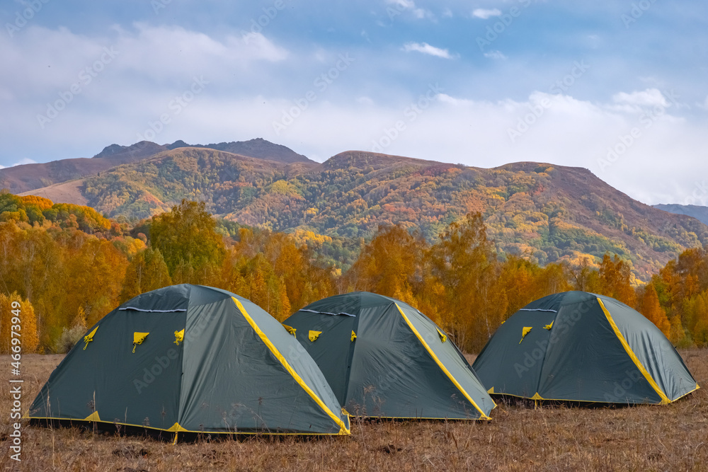 Colorful tents in mountains with beautiful orange forest in autumn season.