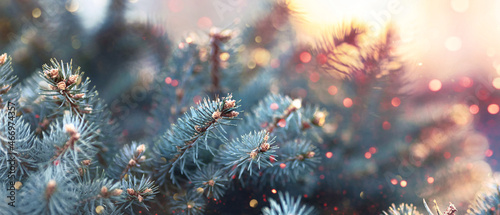 Spruce Branches With Glitter and Bokeh Effect