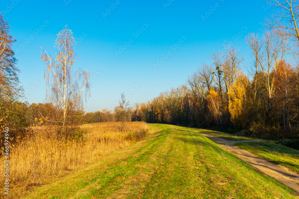 Golden hour by the Narew River