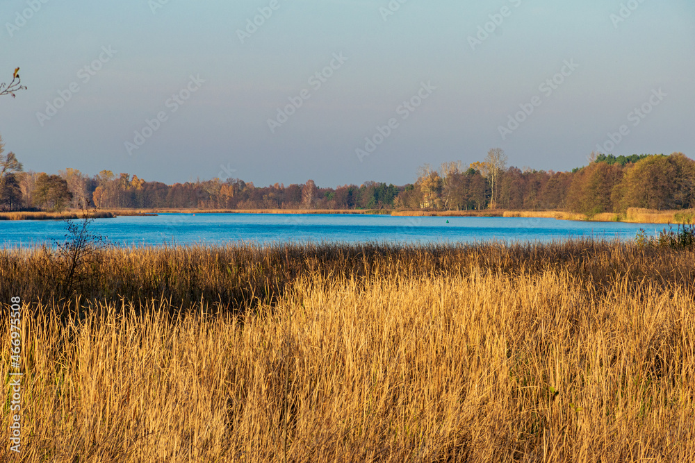Golden hour by the Narew River Golden hour by the Narew River