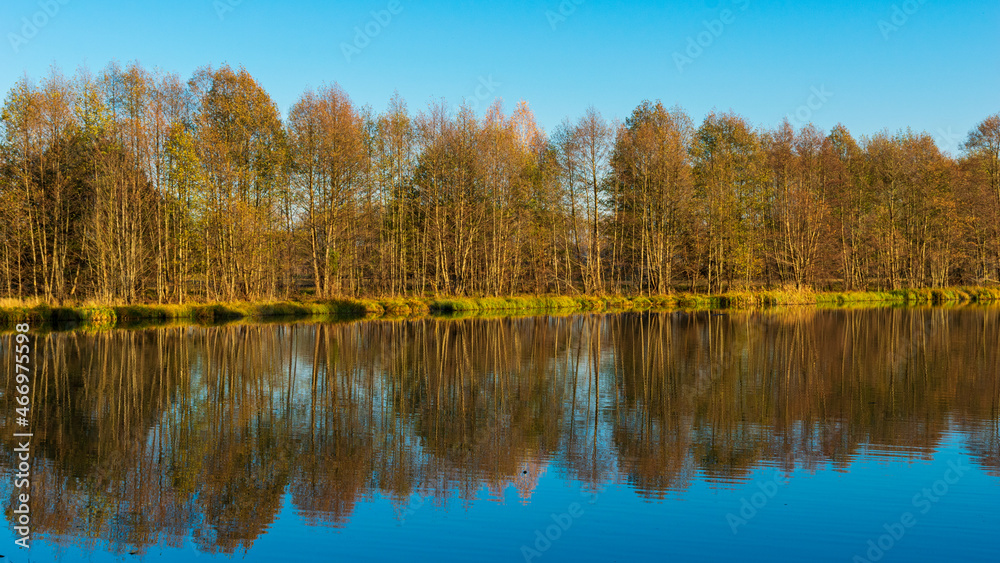 Golden hour by the Narew River Golden hour by the Narew River